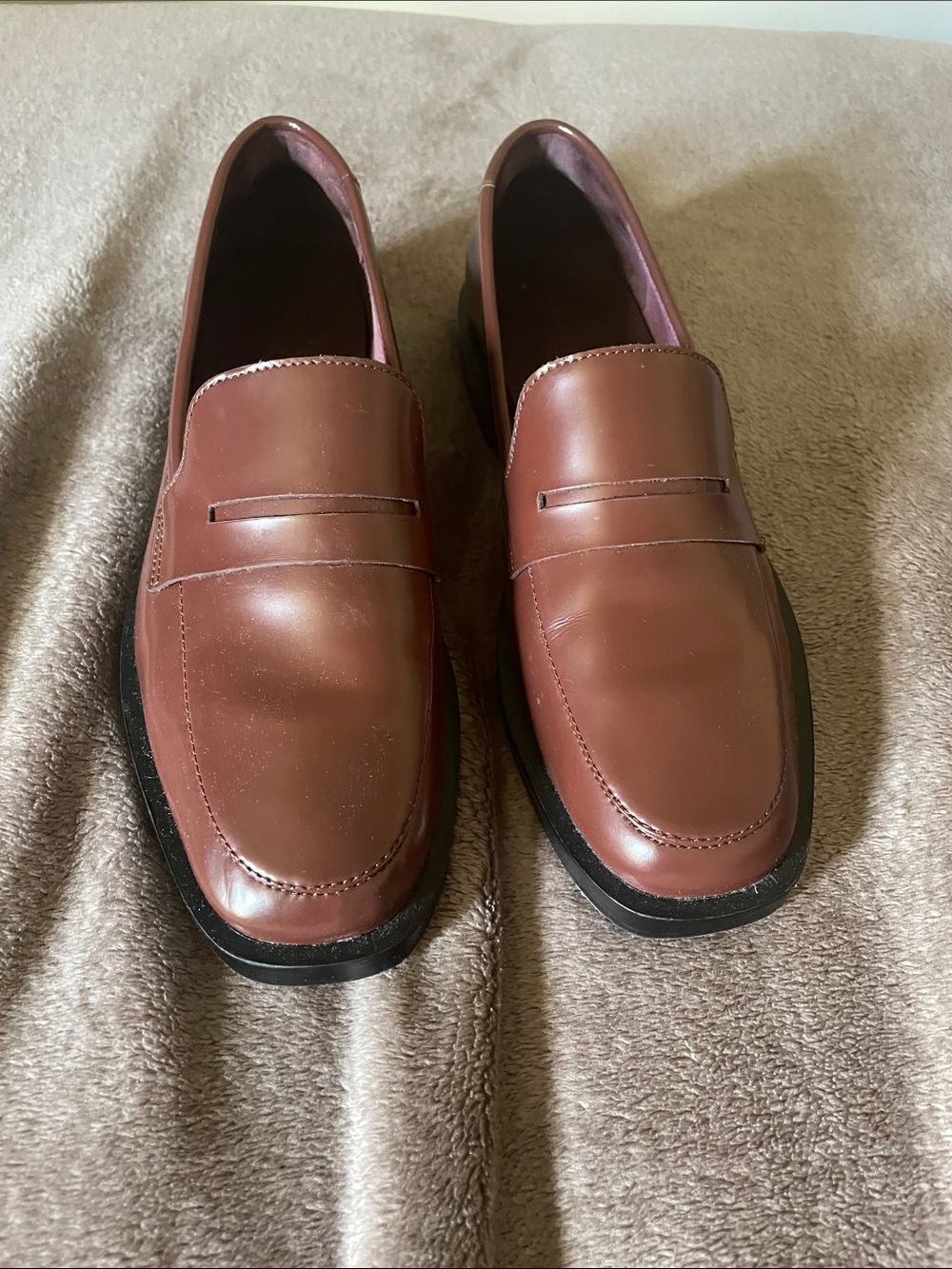 Everlane Chestnut Leather Penny Loafers